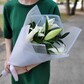 Лилия