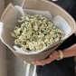 Букет из 25 кустовых ромашек в брендированной упаковке