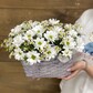 Корзина хризантем и танацетума
