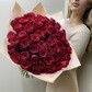 Букет красных роз 51 шт