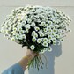 Букет белых ромашек