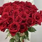 Красная Роза 25 шт.