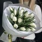 Букет белых тюльпанов 19 штук