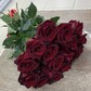 Бордовые розы 15 шт