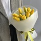 Солнечные желтые тюльпаны