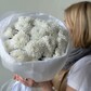 Хризантемы кустовые 5 белоснежные 🕊️