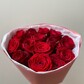 Монобукет из 15 красных роз