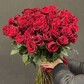 51 Красная роза Эквадор