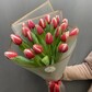 Букет из 21 красно белых тюльпанов