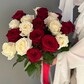 Красные и белые розы / 21 роза / 60 см
