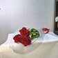 Букет из 3 красных роз