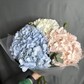 Букет из микс гортензий