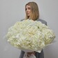 Белоснежный букет из 11 белых гортензий (008)
