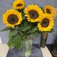 Композиция из пяти подсолнухов