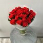 Алые розы 25шт 50см