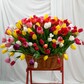 201 тюльпан в корзине