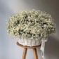 Корзина с ромашками 55