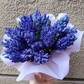Гиацинт синий 25 в шляпной коробке