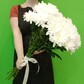 Хризантема Кустовая белая