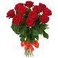 Букет из 11 красных роз высотой 60 см