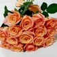 15 коралловых роз